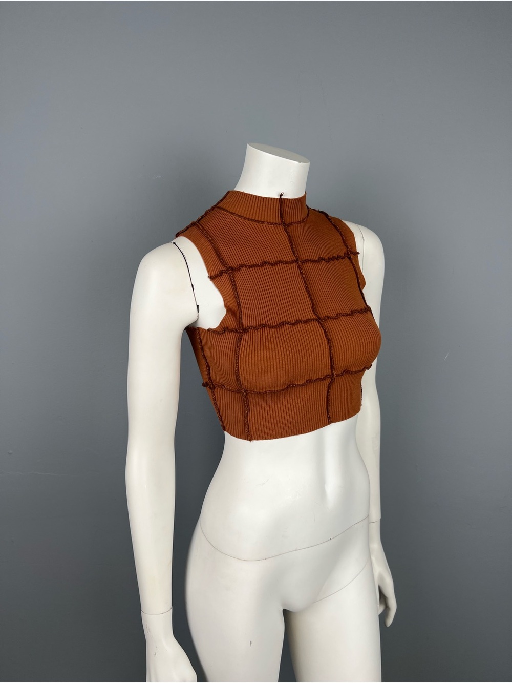 Garage Ribbed Mock Neck Crop Top in Rust